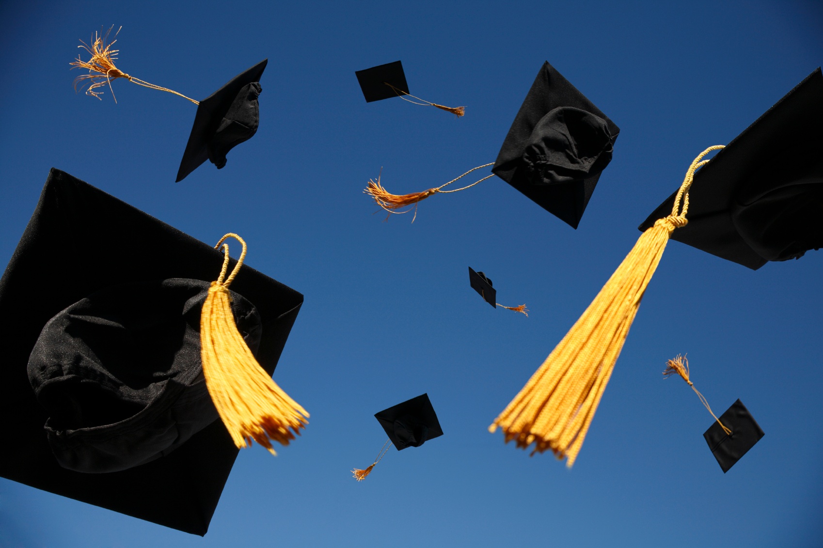 4407014-graduation-caps.jpg 4407014-graduation-caps.jpg