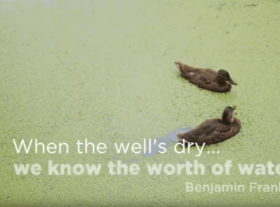 About the Center for Watershed Protection