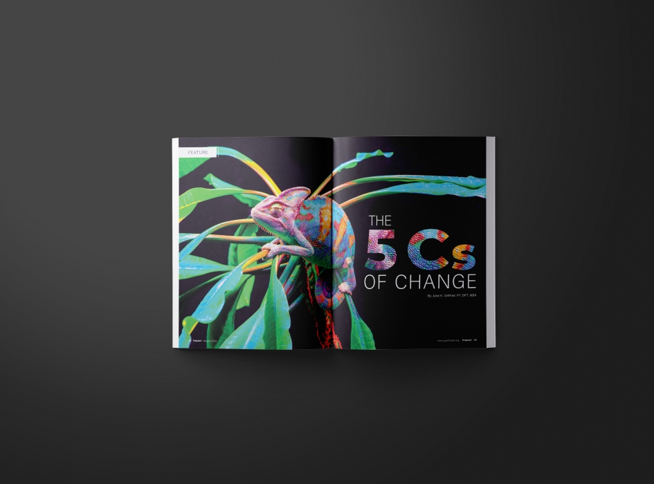 PPS Impact Publication